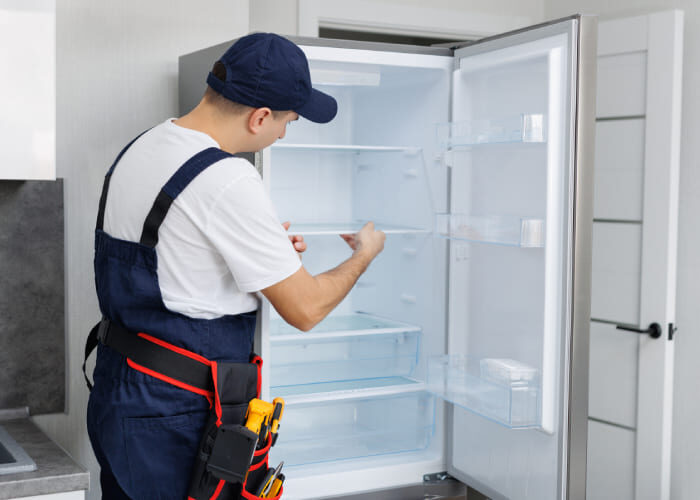 serviciolineablanca.com.mx